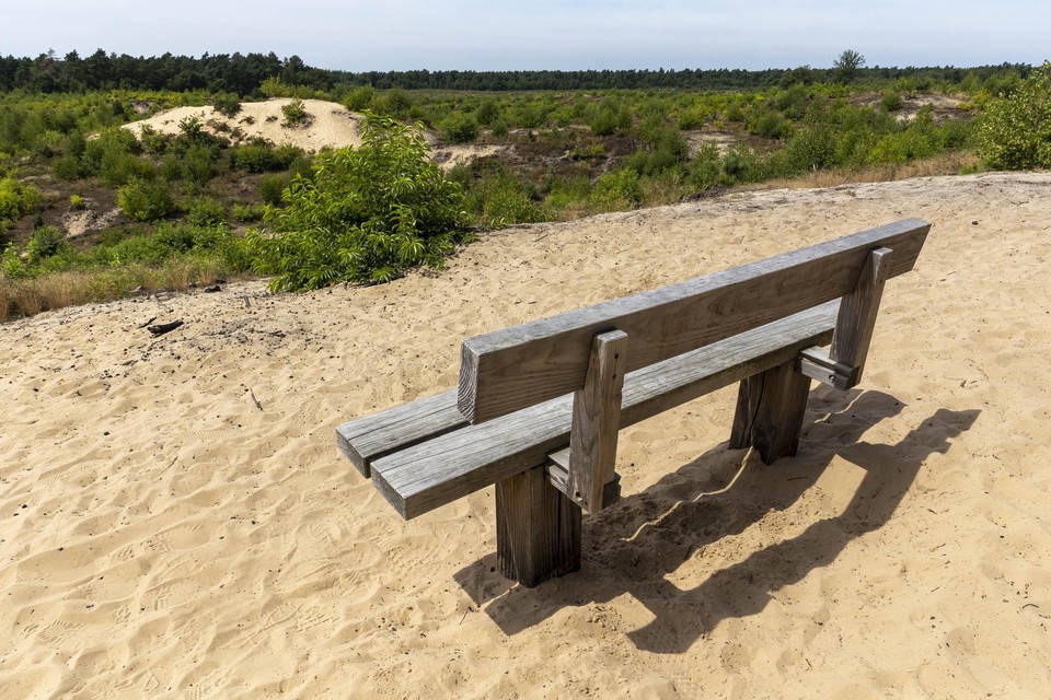 Het bankje voor Wiel Christiaens in de Schadijkse Bossen. 