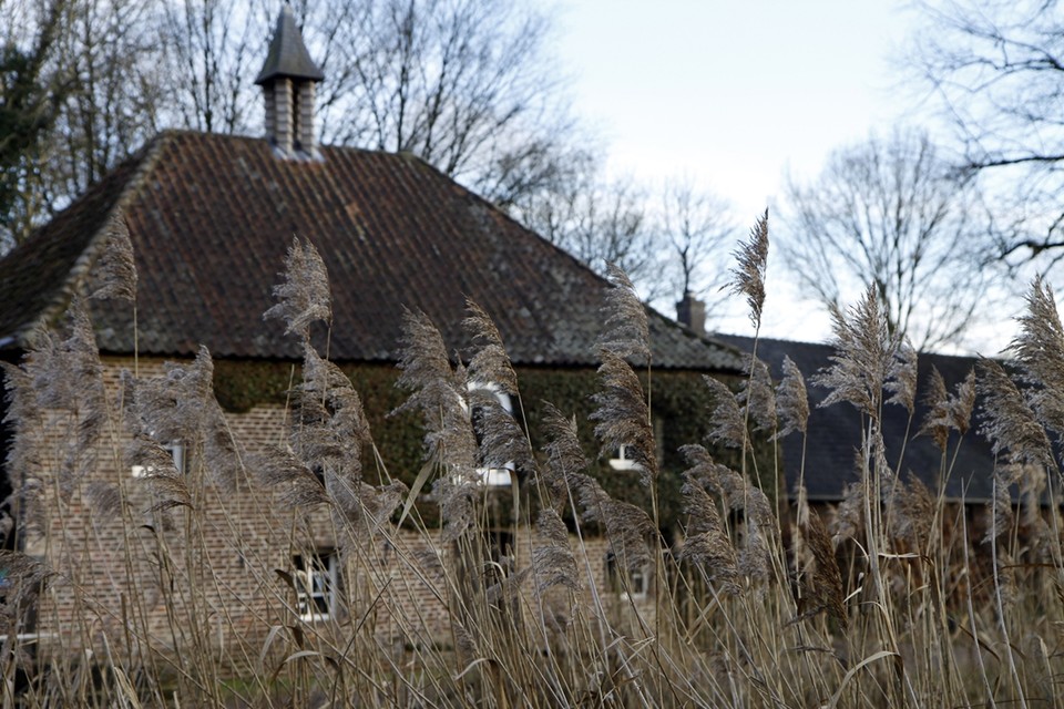 De Leumolen in Nunhem. 