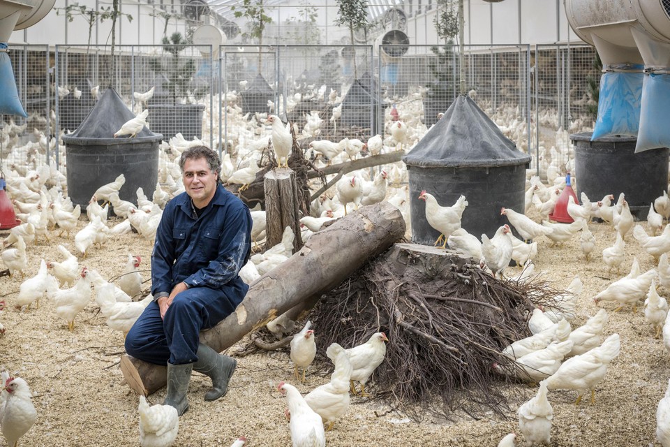 Ruud Zanders, voorzitter van Caring Farmers, in de diervriendelijke kippenstal Kipster. 