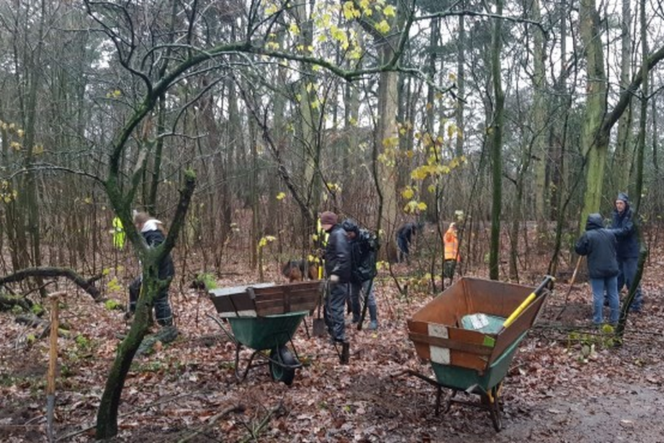 MEERGroen beheert 150 hectare natuurgebied en ‘oogst’ bomen als onderdeel van regulier natuurbeheer. 