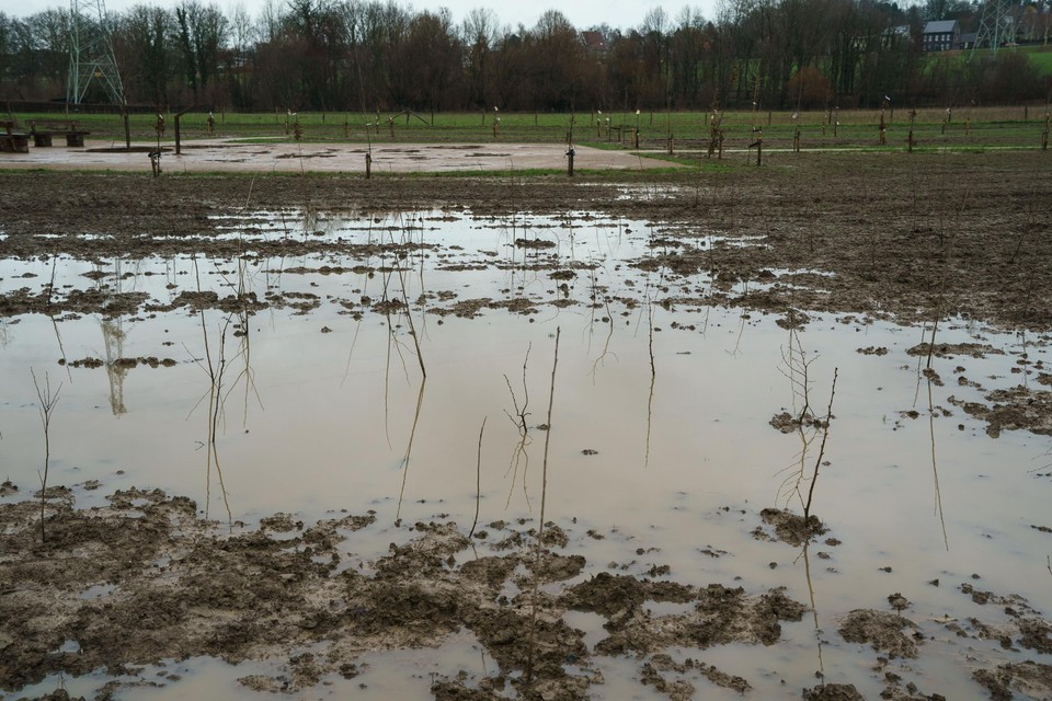 Het waterballet baarde veel Meerssenaren zorgen, maar het perceel droogt snel weer op.