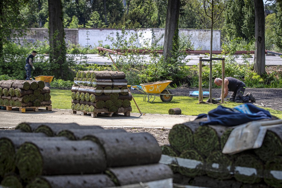 Een tapijt van gras wordt uitgerold in het stuk Weerter stadspark aan de Biest. 