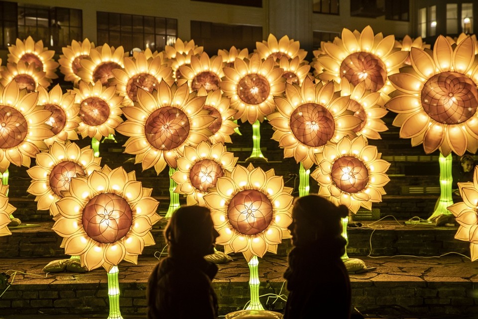 Lichtinstallatie Zonnebloemen voor Van Gogh (van kunstenaar Hugo Vrijdag), op het Lichtplein Eindhoven. 