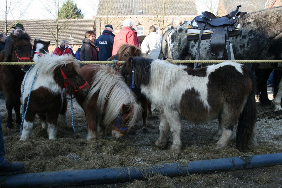 De jaarlijkse handel in paarden en pony’s vindt voortaan buiten het dorp plaats. 
