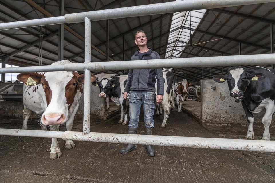 Melkveehouder Paul Alberti vreest dat het hek van zijn stal mogelijk voor altijd gesloten moet blijven als er een vergunningplicht gaat gelden voor weidegang.  
