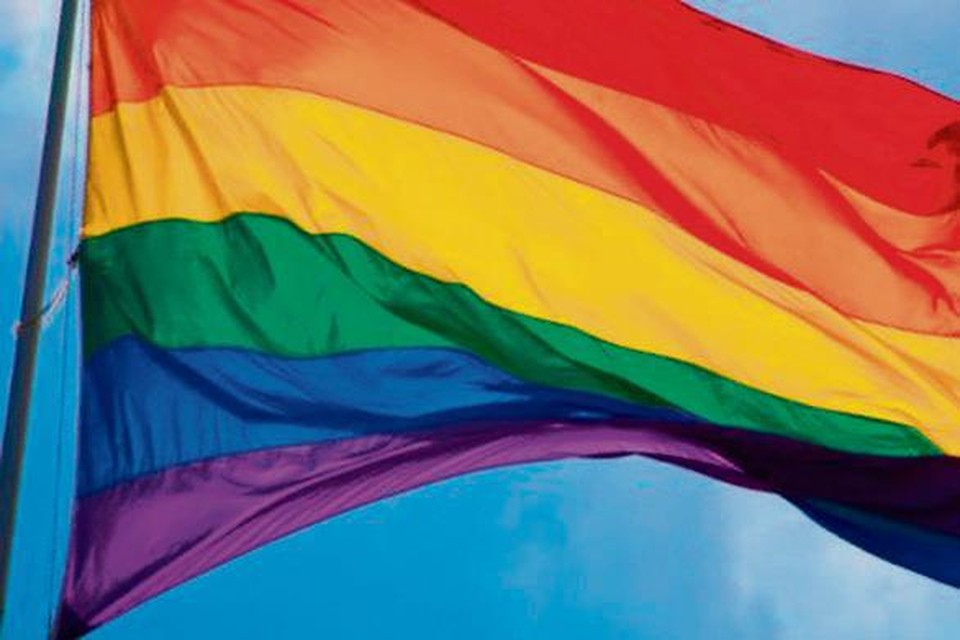 De regenboogvlag.