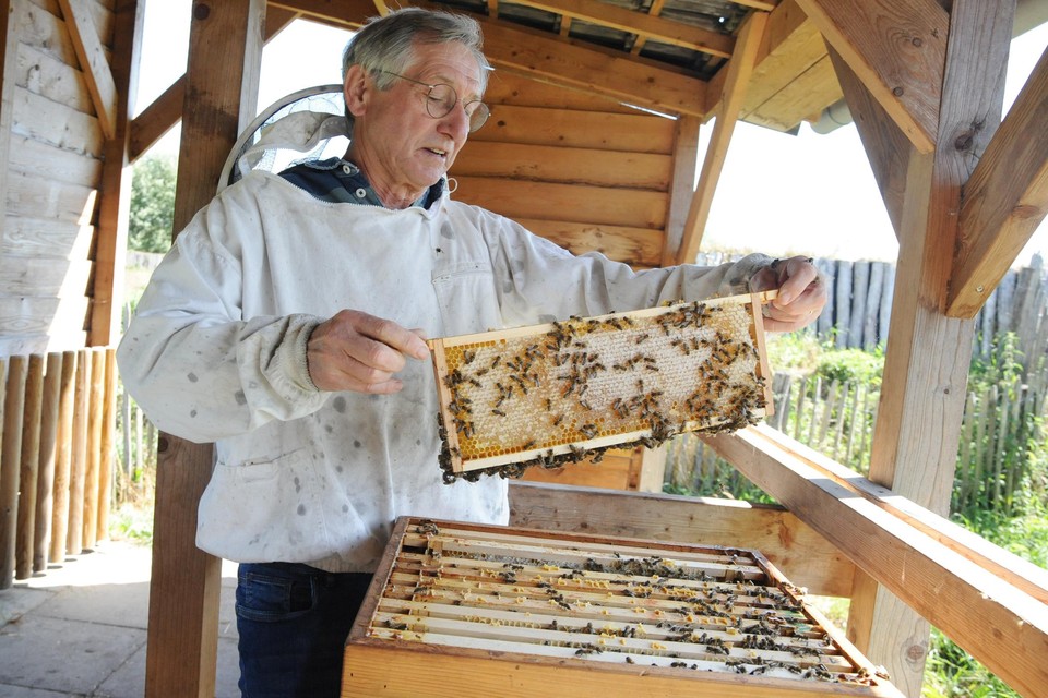 De 75-jarige Mart Wismans in de bijenstal in Merselo. 