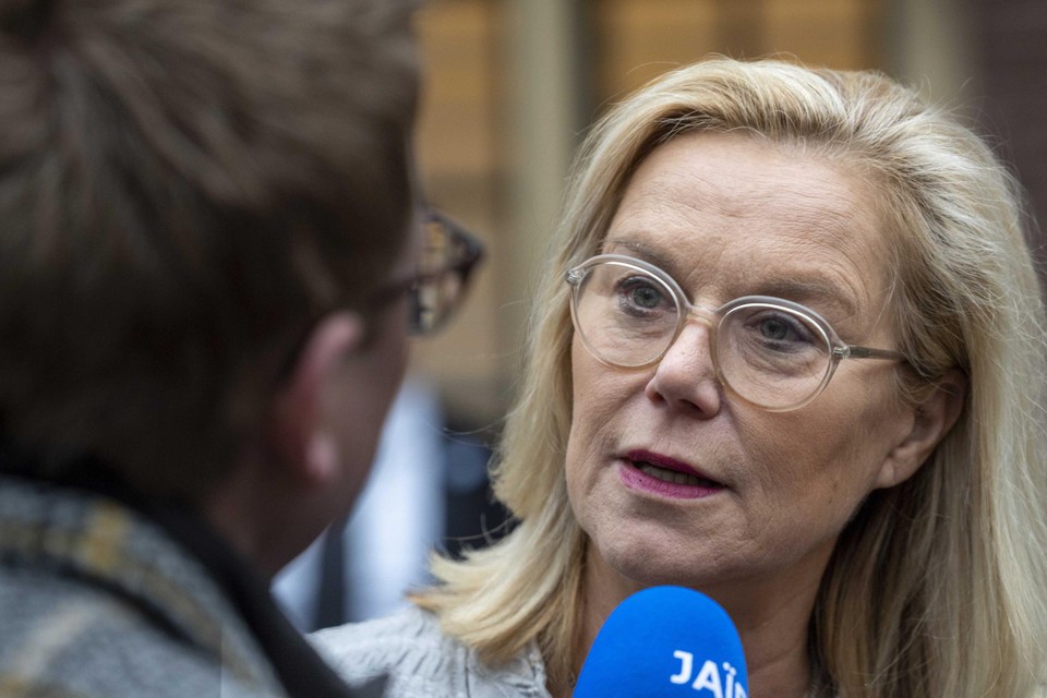 De vicepremier en D66-leider Sigrid Kaag deed dit jaar al tientallen malen aangifte van ernstige bedreiging.