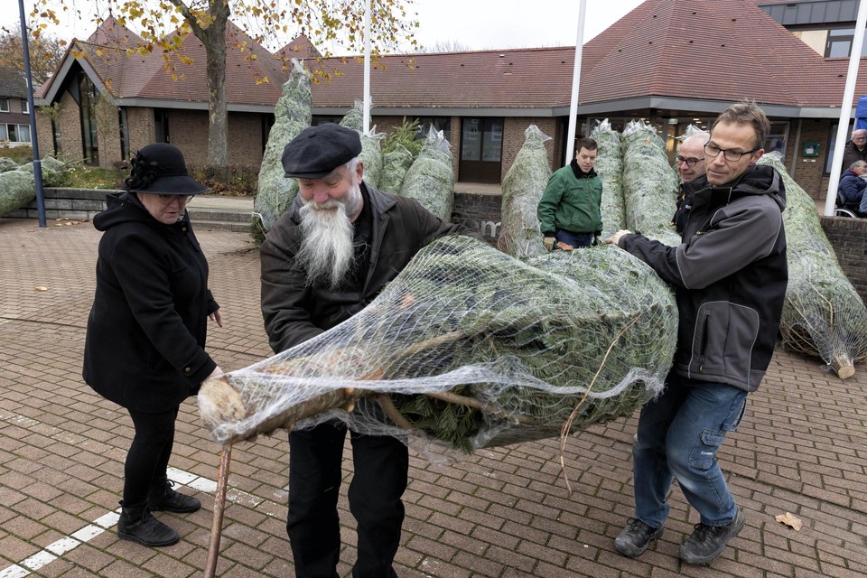 De kerstbomen die de gemeente Nederweert ter beschikking stelt om straten en buurten op te vrolijken vinden gretig aftrek. 