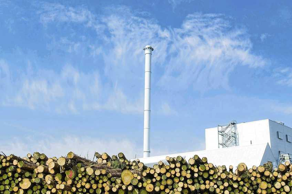 Het verbranden van houtige biomassa is omstreden. 