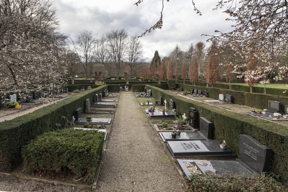 De haagjesstructuur op begraafplaats Tussen de Bergen in Roermond. Grafstenen mogen niet boven het groen uitsteken. 