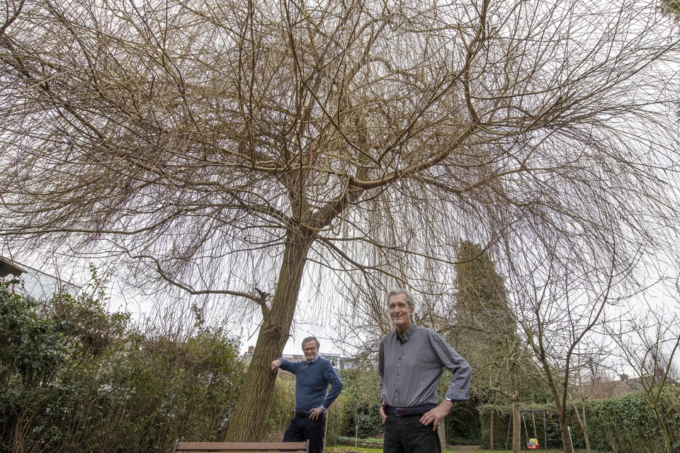 Initiatiefnemers Maarten Schrevel (links) en Jos Hermans onder de symbolische boom, waar het idee ontstond voor een mondiaal project. 