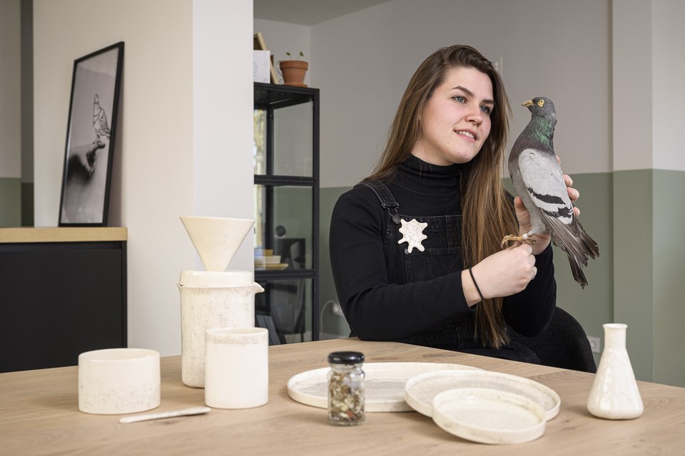 Lotte Hendriks uit Maasbree studeerde af op servies gemaakt van duivenpoep. Ze won daarmee een prijs op school en stond op een grote Maastrichtse expositie.  