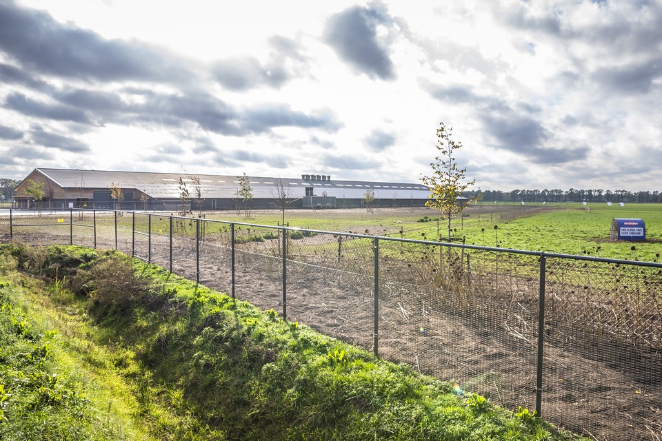 Op het bedrijf van Peter Janssen en zijn compagnon in Ysselsteyn lopen normaal gesproken 51.000 vrije uitloopkippen. 