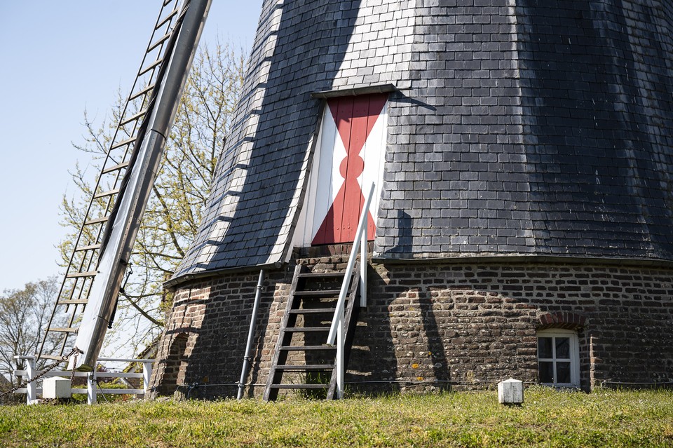 Molen horn 