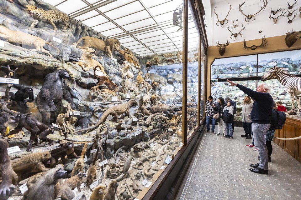 Paul Voogt weet bij bijna elk dier en object in het Missiemuseum wel een mooi verhaal te vertellen.