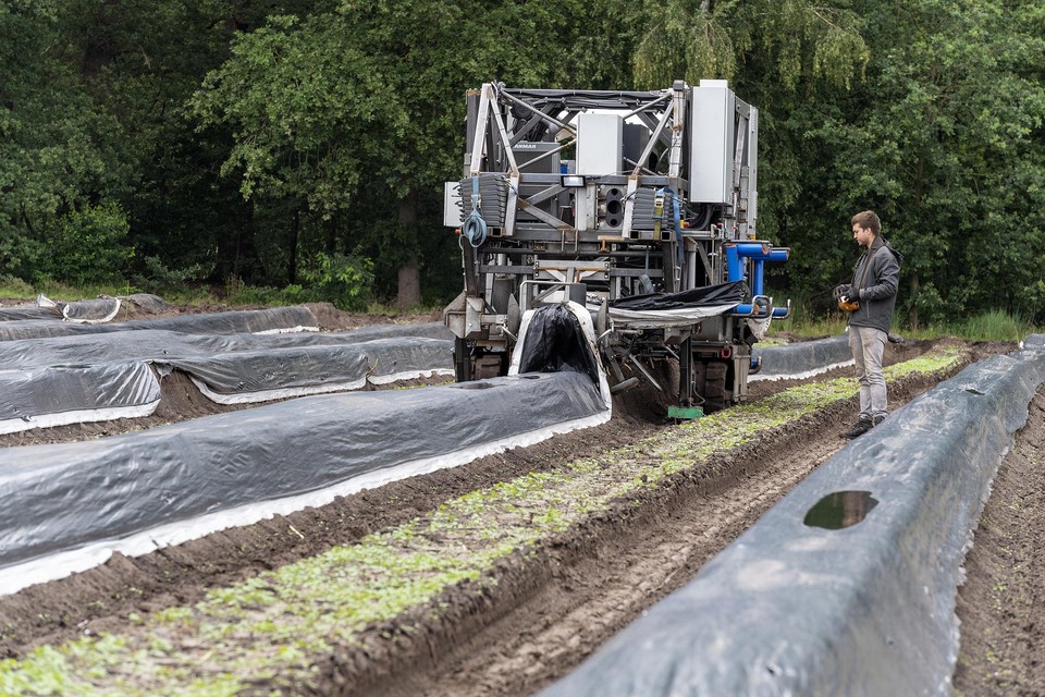 Demonstratie van de robot van Cerescon die asperges kan oogsten, vorig jaar in Baarlo. 