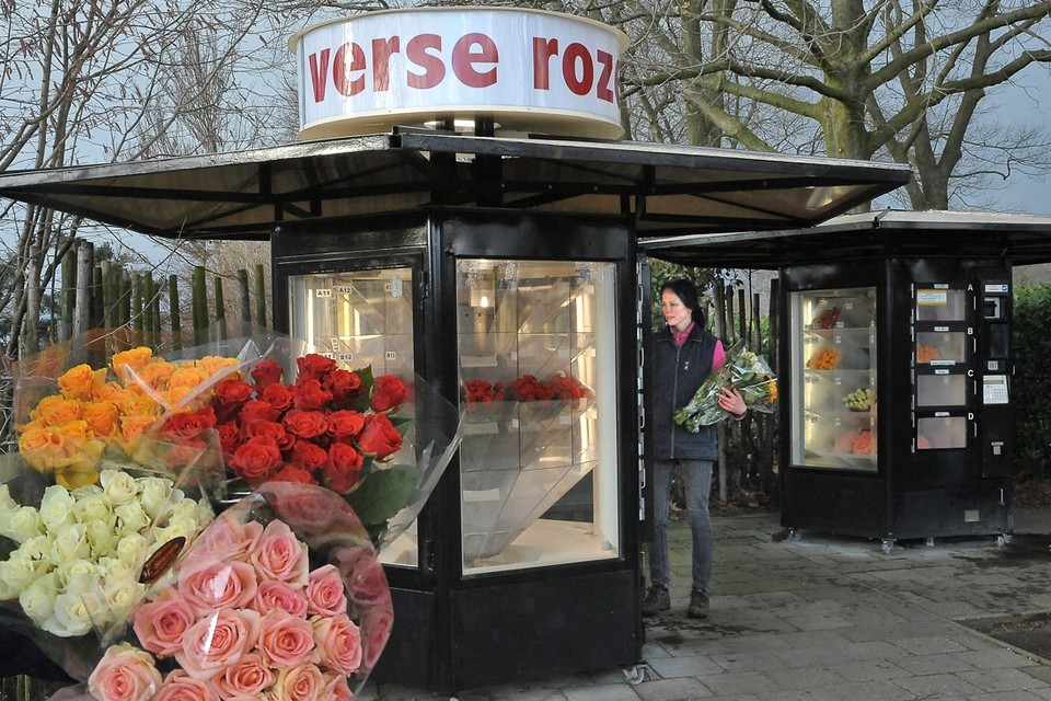 is… bos rozen de automaat in Grubbenvorst met... - De Limburger Mobile