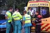 thumbnail: Een groep wandelaars is aan de Kosmoslaan in Eindhoven aangevallen door hoornaars.