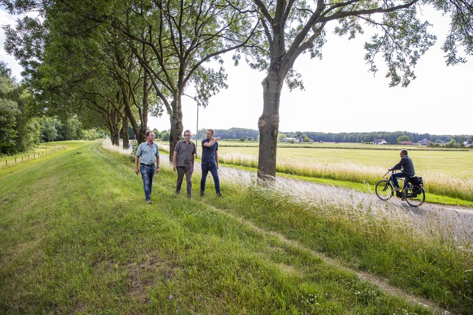 René Giesen (links), Jan Keunen (midden) en Dave Verstappen op de huidige dijk, rechts het gebied dat overloopgebied van de Maas moet worden.  