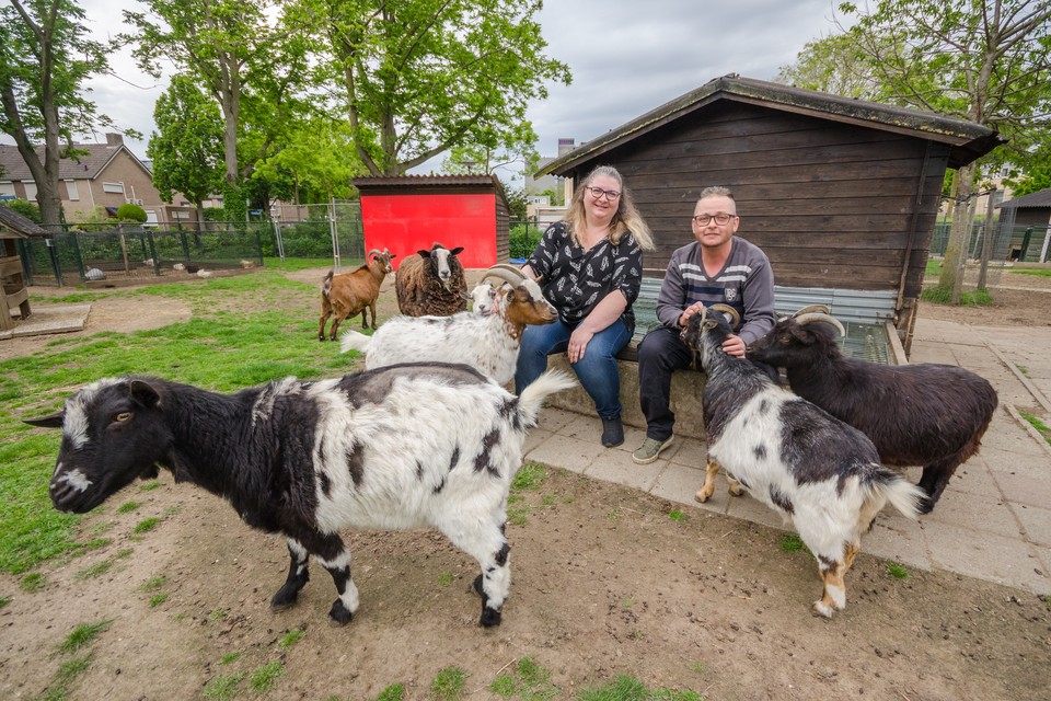 Ramona Jansen en Maikel van Veldhoven met enkele ‘bewoners’ van de kinderboerderij. 