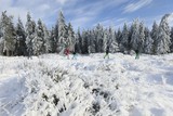 thumbnail: Belgische Ardennen