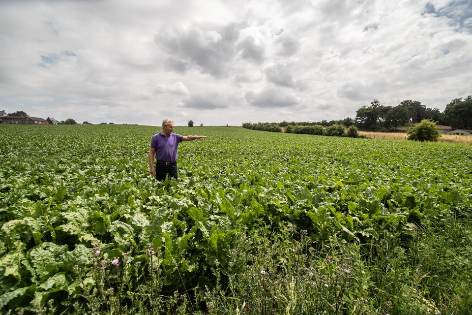 Wijnand Vogels uit Schinnen is een van de agrariërs die al maatregelen neemt om water vast te houden.