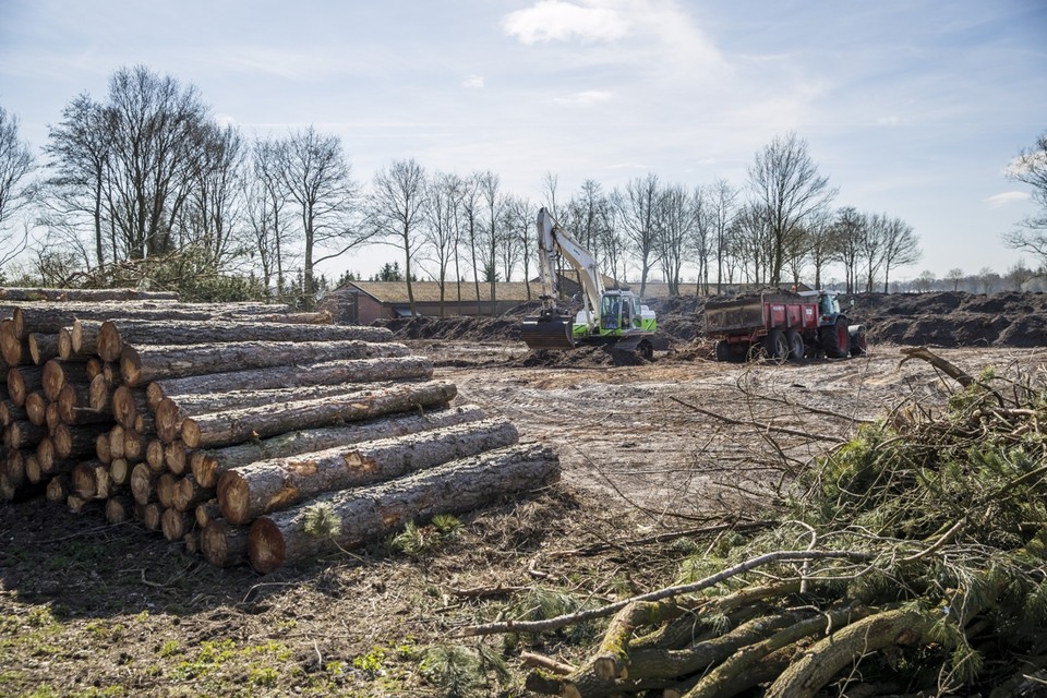 Bewoners van Kronenberg schrokken zich rot toen in maart van dit jaar grote stukken bos werden gekapt. 