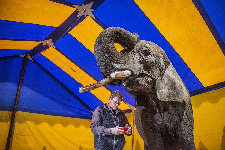 Olifant Buba met circusdirecteur Lutz Freiwald. 