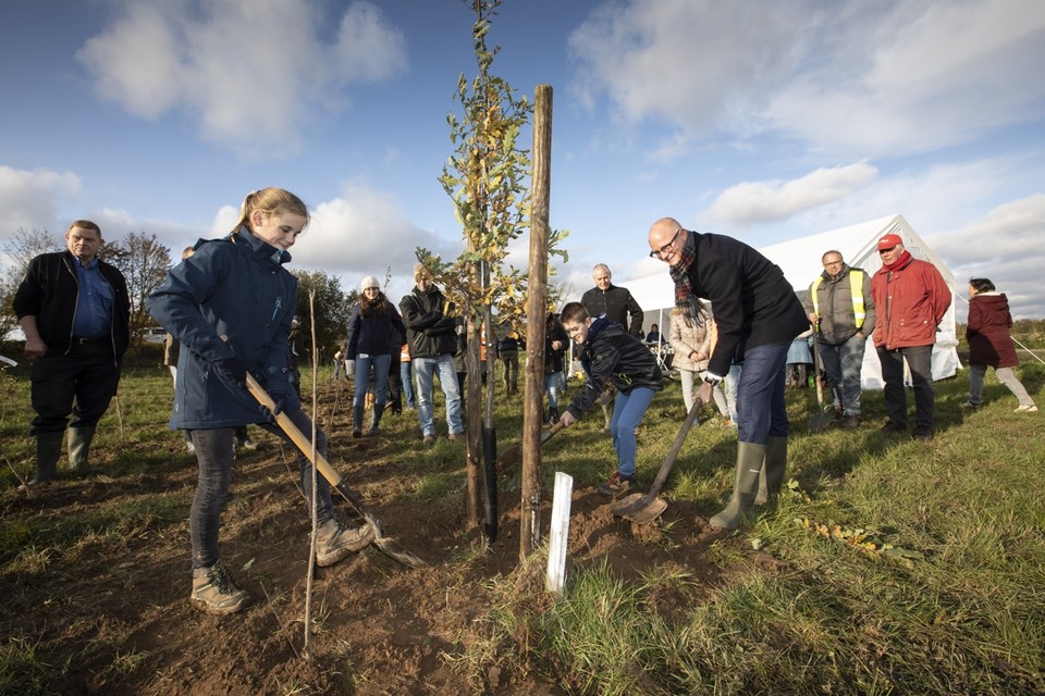 Gedeputeerde Hubert Mackus wordt door kinderen geholpen bij het planten van een eik. 