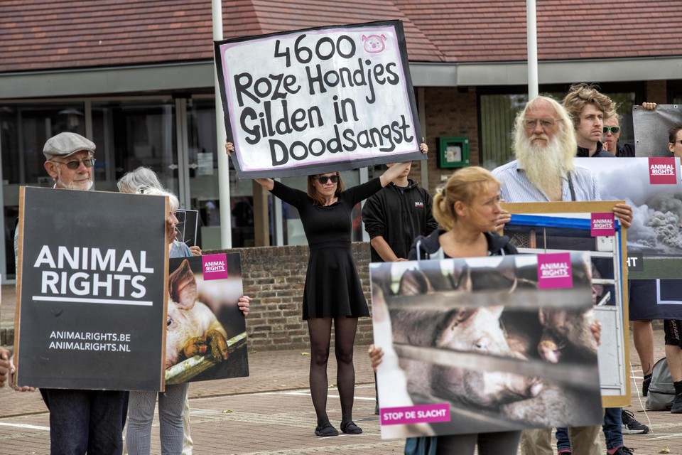 Protestactie van Animal Rights in Nederweert (2021) na een varkensbrand waar 4600 varkens omkwamen. Animal Rights voert vaker actie tegen de intensieve veehouderij.