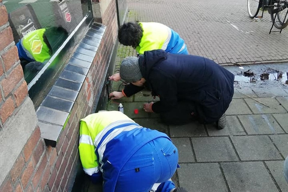 Pogingen om de poes uit het gat te lokken zijn tot dusver op niets uitgelopen. 