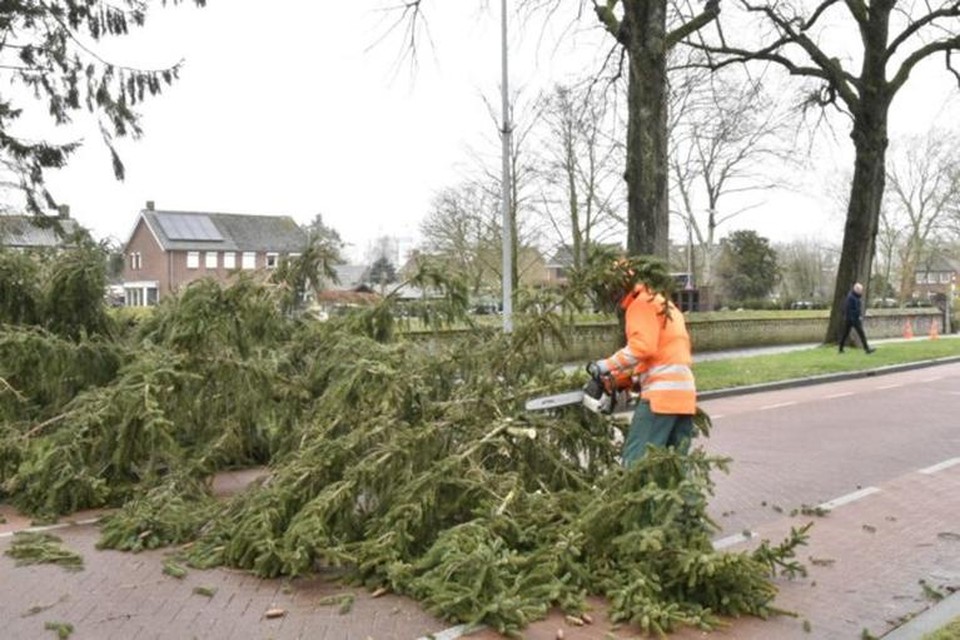 De schade door storm Eunice bleef beperkt tot beschadigingen aan daken en gevels van woningen en omgewaaide bomen, zoals hier in Heijen.