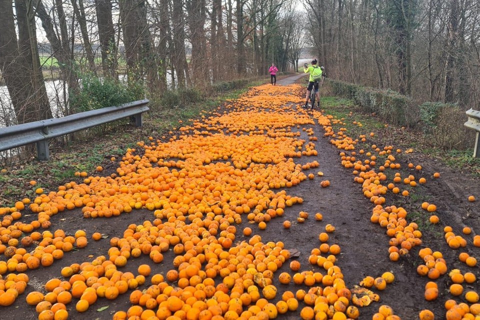 Rond de jaarwisseling werd bij de kanaalbrug in Obbicht nog een grote partij sinaasappels gedumpt. 