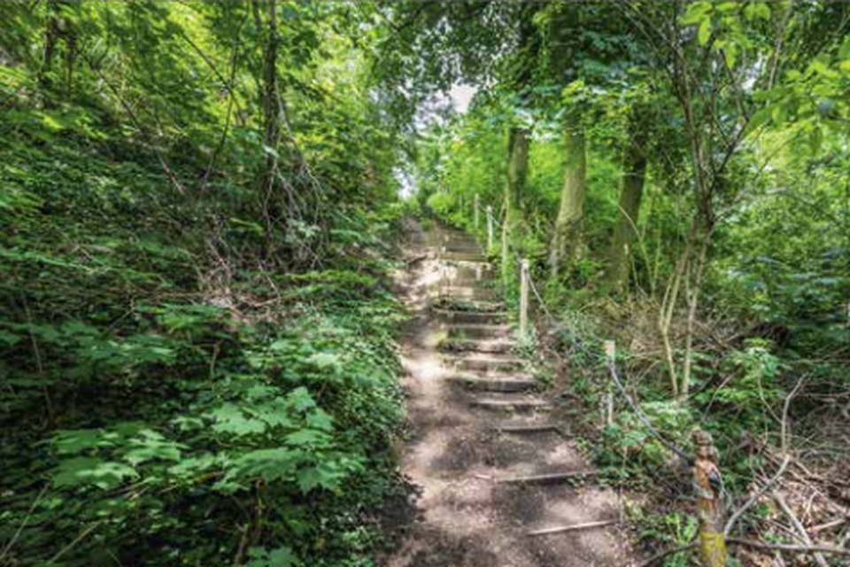 De trappen in het bos bij Munstergeleen worden dit jaar vernieuwd.