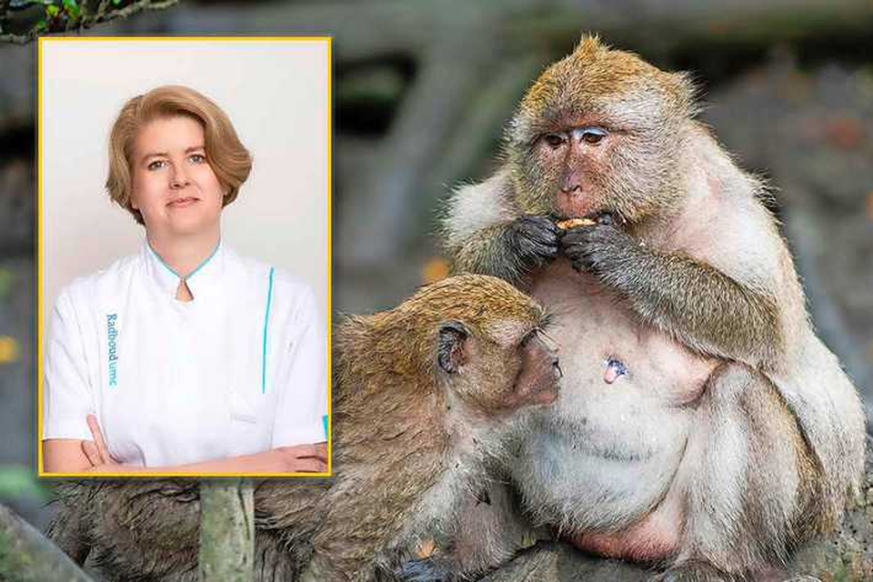 „Het is van groot belang dat er goede voorlichting is over wat het apenpokkenvirus is en hoe je het kunt herkennen”, zegt internist-infectioloog Chantal Bleeker-Rovers. 