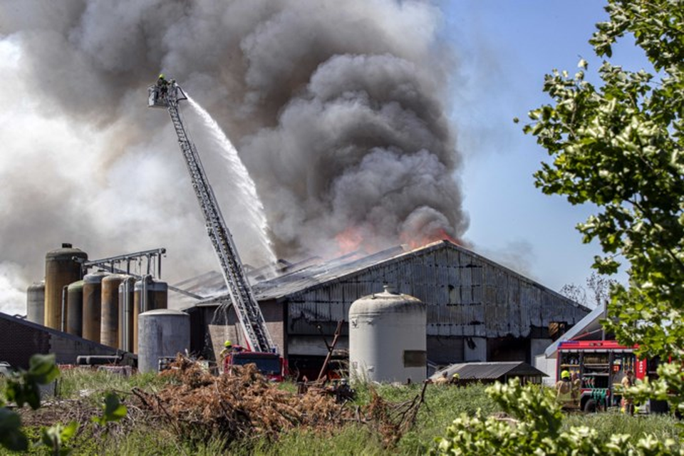 Bij een brand in een varkensstal aan de Bloemerstraat in Nederweert kwamen in 2021 4600 dieren om het leven. 