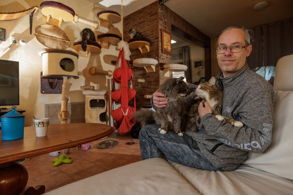 Heerlenaar François Debets heeft zestien katten. Ze zijn alles voor hem, zeker nu hij veel thuis is.