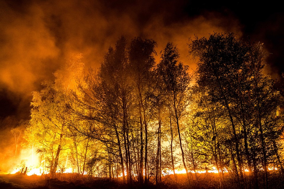 Bij de brand in het Peelgebied ging vorig jaar ruim zevenhonderd hectare natuurgebied in vlammen op. 