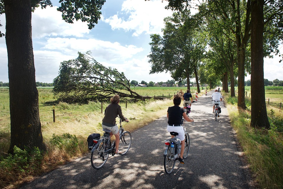 De Moostdijk in Ospeldijk is populair bij fietsers omdat die naar buitencentrum De Pelen leidt. 