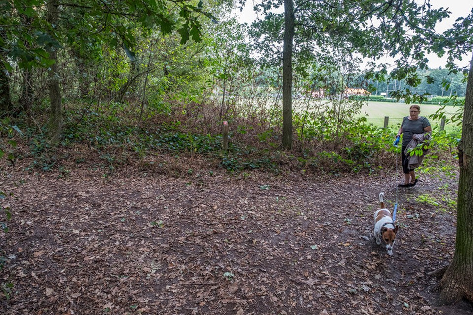Een Heijens 'baasje' laat haar hond uit in het bos tussen het sportcomplex van VV Heijen en de Sleen. In de buurt komt een hondenspeelveld.