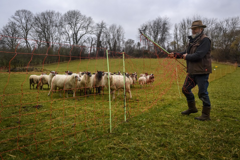 Schaapsherder Ger Lardinois laat de schapennetten zien die de schapen tegen de wolf moeten beschermen.