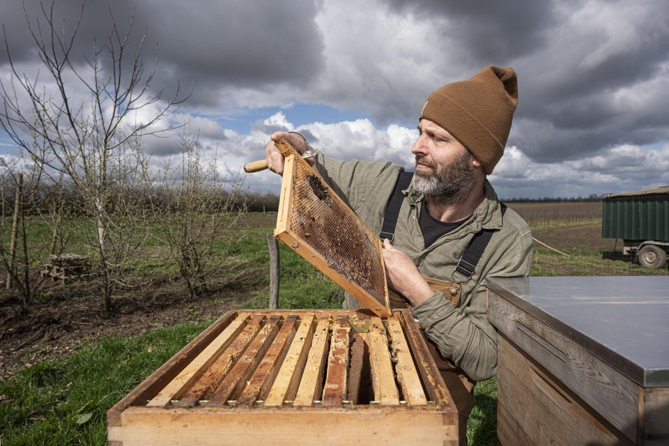 Lege raampjes en dode bijen dit voorjaar in de kasten van Mark Thissen, een van de getroffen Limburgse imkers.