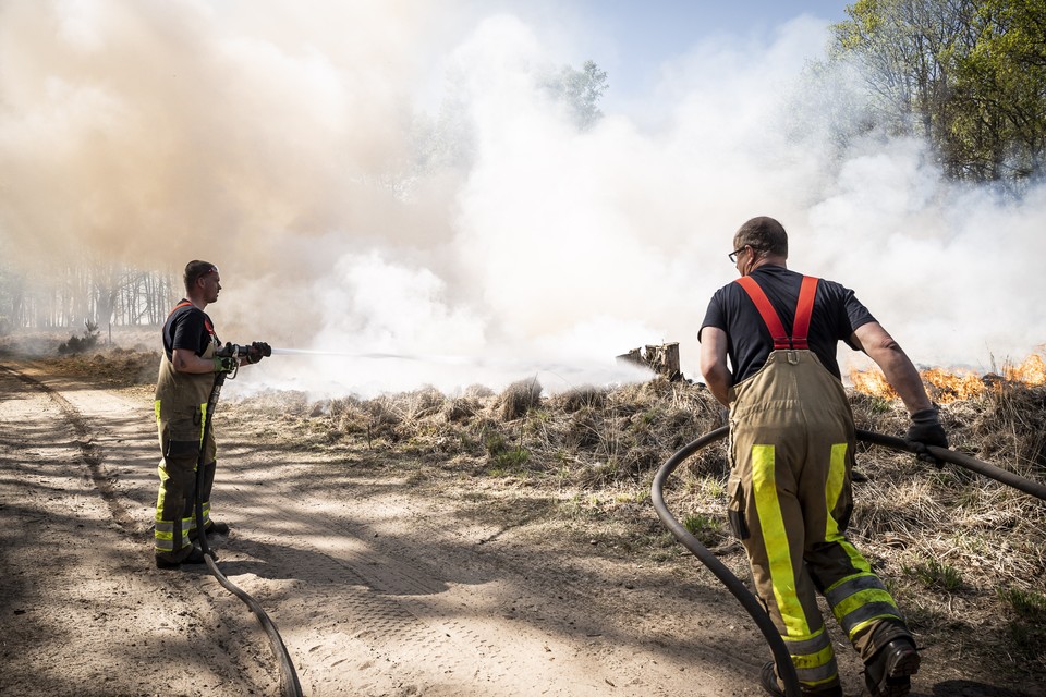 Tweehonderd hectare natuur in De Meinweg gingen vorig jaar in vlammen op. 