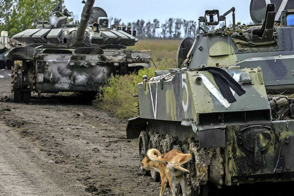 Een hond plast over een op de Russen buitgemaakt infanteriegevechtsvoertuig. 
