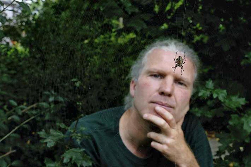 Bioloog Jinze Noordijk ziet graag een kruisspin in de tuin. „Dat was altijd dé spin die je rondom huizen veel zag. Maar dat lijkt de laatste jaren een beetje voorbij.” 