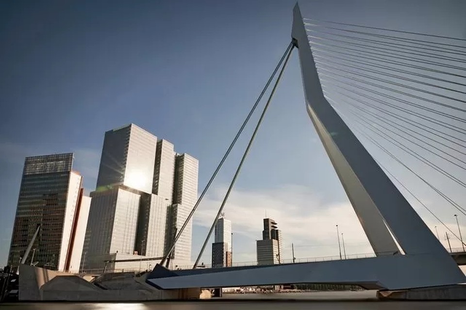 De Erasmusbrug in Rotterdam. 