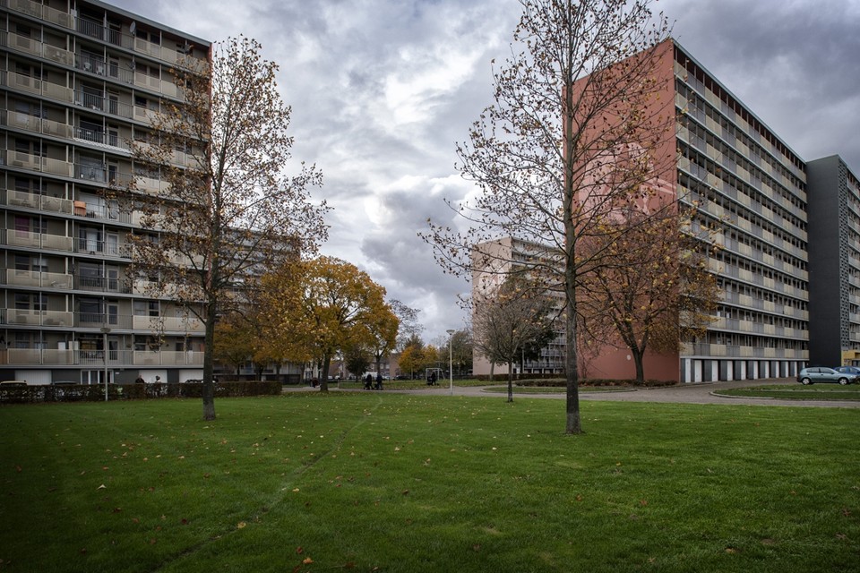 De vier hoogbouwflats aan de Zonstraat en Hertogenlaan moeten plaatsmaken voor nieuwe woningen. 