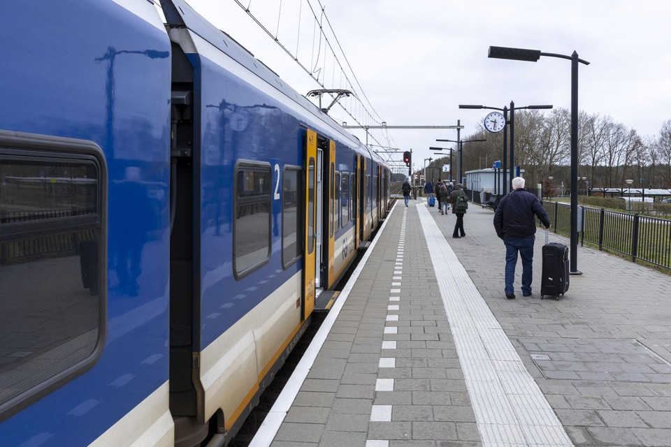 Dankzij permanente controles op zwartrijders op station Maarheeze hoopt de NS de overlast op de lijn Weert-Eindhoven in te dammen.