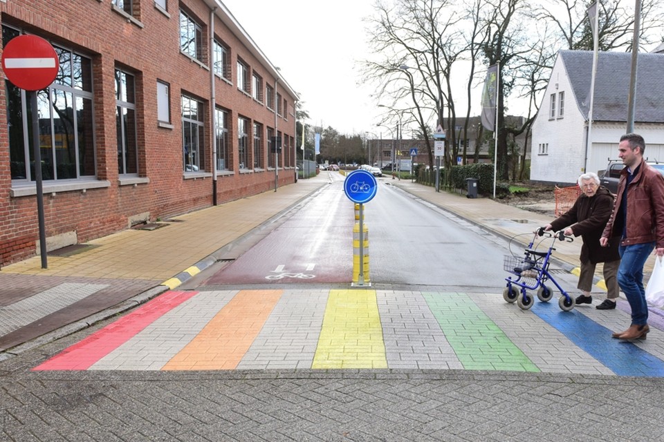 Een meerderheid van de Heerlense gemeenteraad is tegen de aanleg van regenboogzebrapaden bij scholen. 